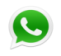 WhatsApp Icon